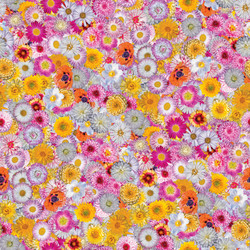 Similar image 20999671