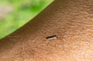 Similar image 20999676