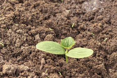 Similar image 20999677