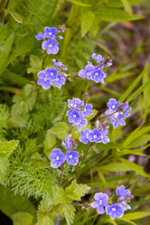 Similar image 20999678