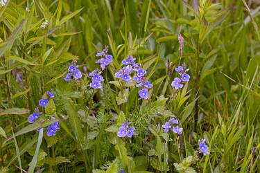 Similar image 20999679