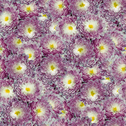 Similar image 20999684