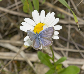 Similar image 20998000