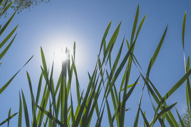 Similar image 20998001