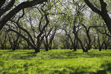 Similar image 20998003