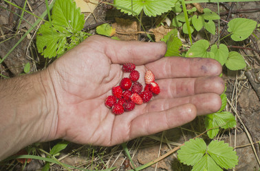 Similar image 20998007