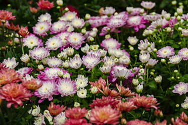 Similar image 20999687