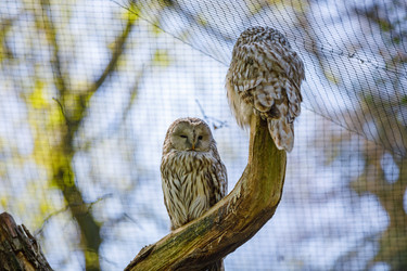 Similar image 20999741