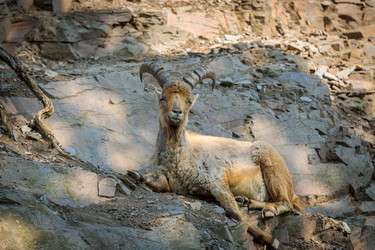 Similar image 21000051