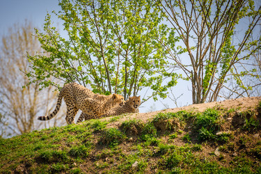 Similar image 21000054