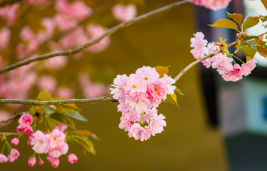 Similar image 21000073