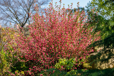 Similar image 21000484