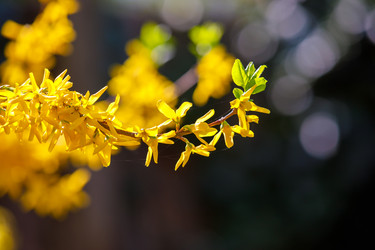 Similar image 21000486