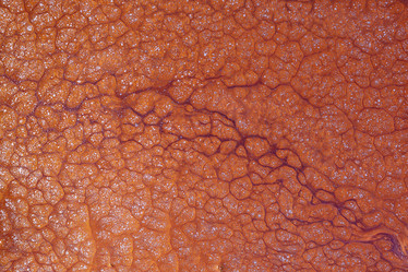 Similar image 20999751