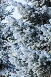 Similar image 20999782