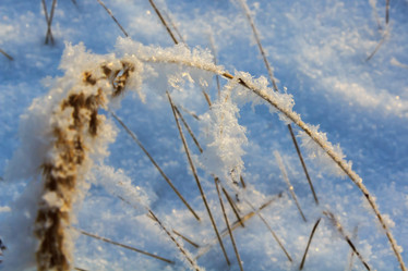 Similar image 20999783