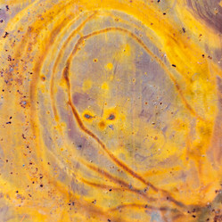 Similar image 21000110