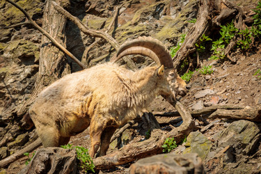 Similar image 21000112