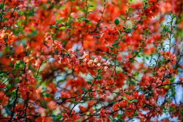 Similar image 20999788