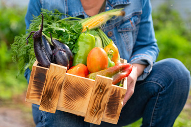 Similar image 21004895