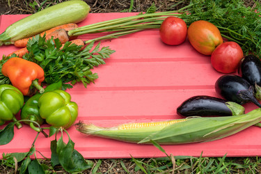 Similar image 20998011