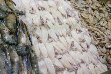 Similar image 21009922