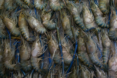 Similar image 21009924