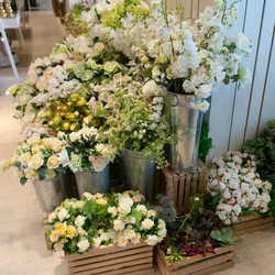 Similar image 21009927