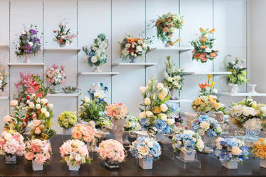 Similar image 21009929