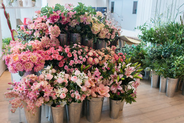 Similar image 21009930