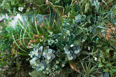 Similar image 21009932