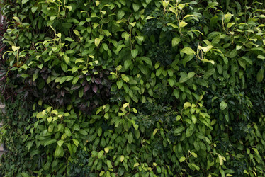 Similar image 21009951