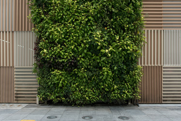 Similar image 21009952