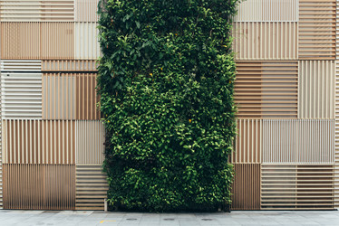 Similar image 21009953