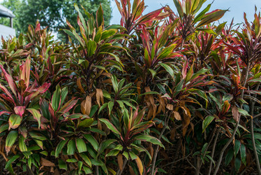 Similar image 21007625