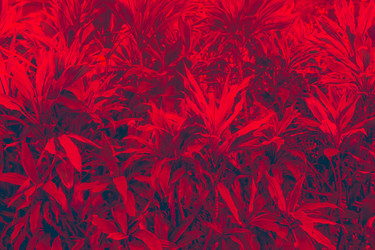 Similar image 21007626