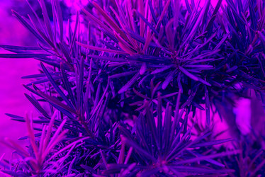 Similar image 21009986