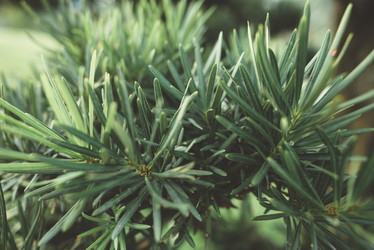 Similar image 21009987