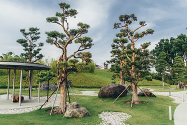 Similar image 21009988