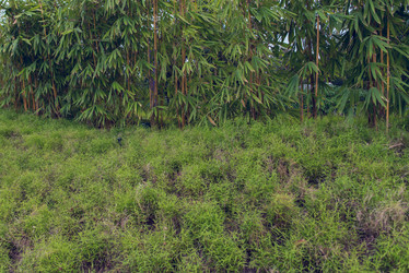 Similar image 21010004