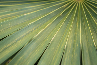 Similar image 21010010