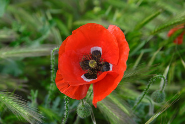 Similar image 20998243