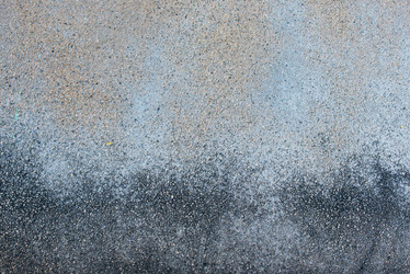 Similar image 21010032