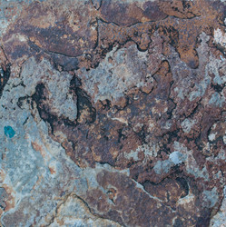 Similar image 21010034