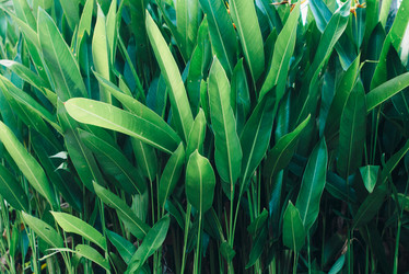 Similar image 21010041