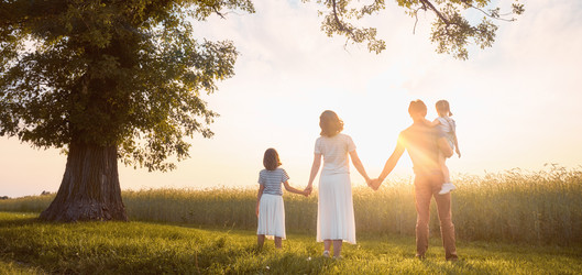 Similar image 21002099