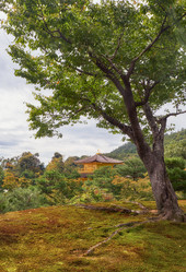 Similar image 21020537