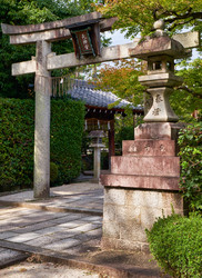 Similar image 21020539