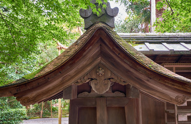 Similar image 21020540