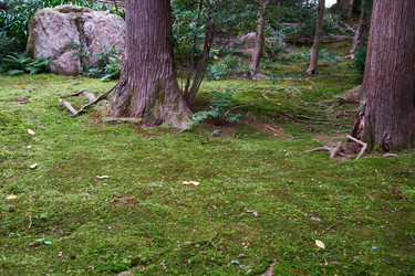 Similar image 21020546